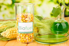 Gwersyllt biofuel availability